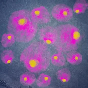 Pattern of abstract shapes and lines forming modern flowers. Colorful digital Stock Illustration