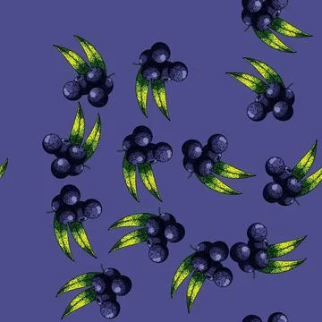 Pattern acai fruit food sketch hand drawn Stock Illustration