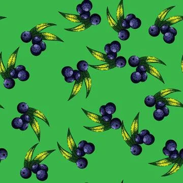 Pattern acai raw food sketch hand drawn Stock Illustration