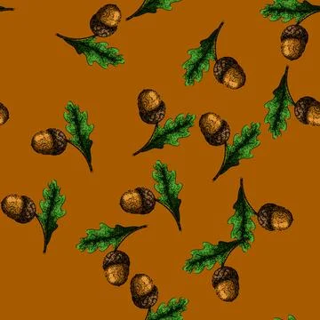 Pattern acorn nut green leaf sketch hand drawn Stock Illustration