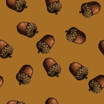 Pattern acorn nut seed sketch hand drawn イラスト素材