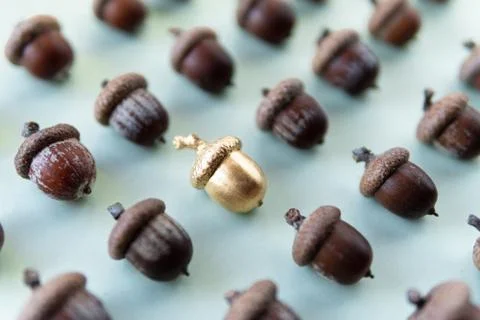 Pattern of acorns on natural green background, golden acorn in the middle Stock Photos