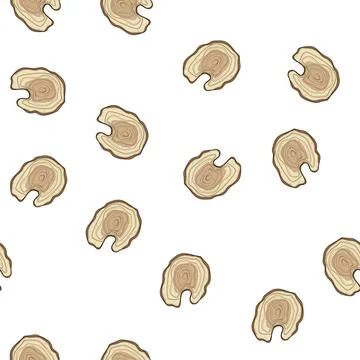 Pattern age tree rings cartoon vector 스톡 일러스트