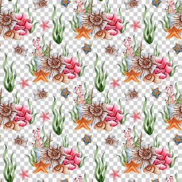 Pattern algae corals starfish seashells watercolor Illustrazione stock