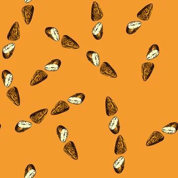 Pattern almond nut cut sketch hand drawn 스톡 일러스트