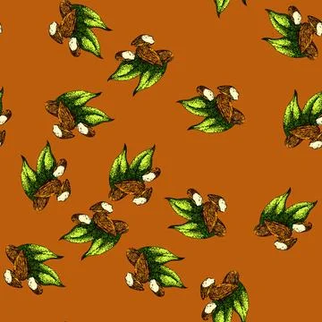 Pattern almond nut leaves sketch hand drawn Stock Illustration