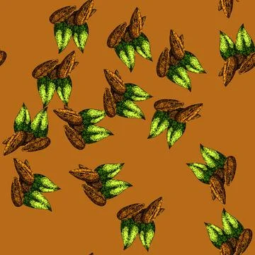 Pattern almond nut raw sketch hand drawn Stock Illustration