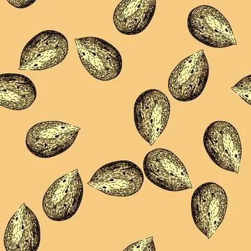 Pattern almond nut white sketch hand drawn Stock Illustration