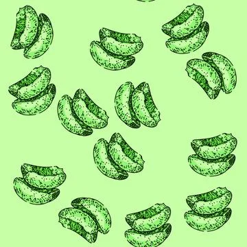 Pattern aloe vera cut sketch hand drawn Stock Illustration