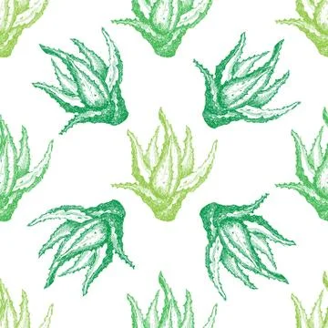 Pattern with aloe vera for decoration, vector illustration 스톡 일러스트