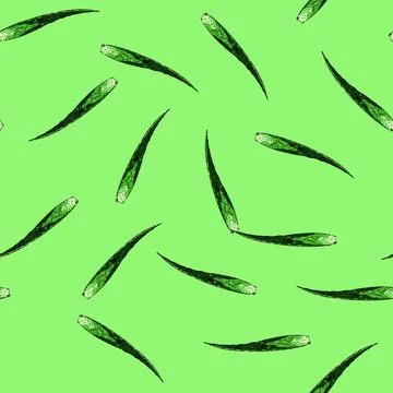 Pattern aloe vera fresh sketch hand drawn Illustrazione stock