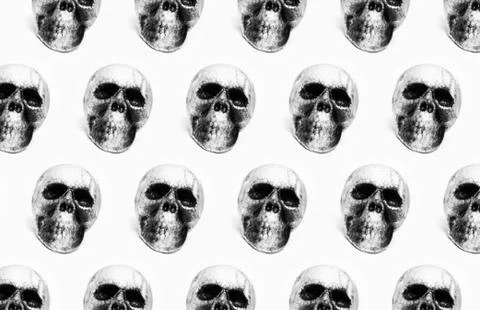 Pattern of anatomical human spooky skull  isolated on background of white. Stock Photos