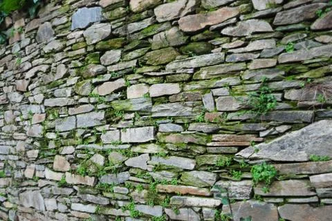 Pattern and texture background of old stone wall covered green moss Stock Photos