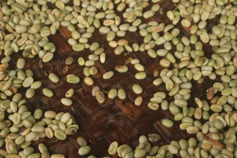 Pattern and texture of fresh raw coffee being dried Stock Photos