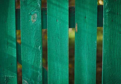 Pattern and texture of green garden fence on a sunny day Stock Photos