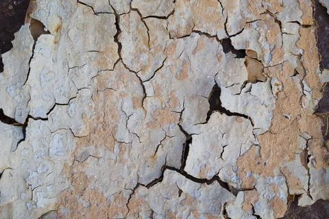 Pattern and texture of old dried paint Stock Photos