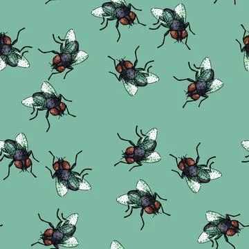 Pattern animal fly sketch hand drawn Stock Illustration