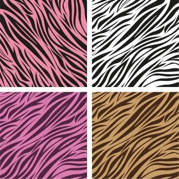 Pattern of animal print, zebra skin texture, vector illustration Illustrazione stock