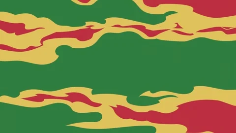 Pattern Animated With Camouflage Transparent Background Animation Stock Footage 338011547