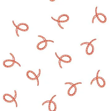 Pattern annelid worm cartoon vector Stock Illustration