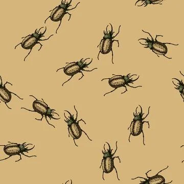 Pattern antennae beetle sketch hand drawn Stock Illustration