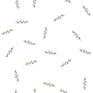 Pattern appetizer olive border divider cartoon vector Stock Illustration