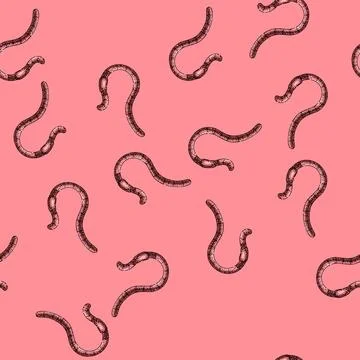 Pattern apple worm sketch hand drawn Illustrazione stock