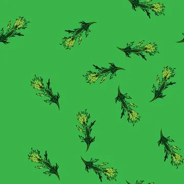 Pattern argula green salad sketch hand drawn Stock Illustration