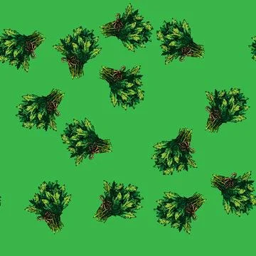 Pattern argula healthy salad sketch hand drawn Stock Illustration