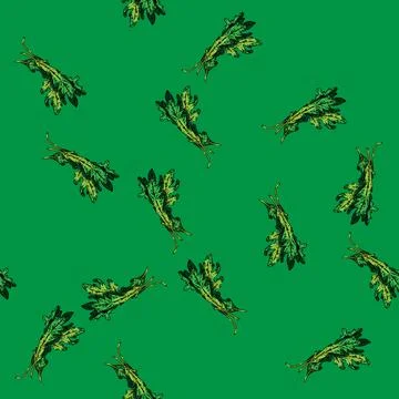 Pattern argula vegetarian salad sketch hand drawn Stock Illustration