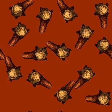 Pattern aromatic clove spice sketch hand drawn Stock Illustration