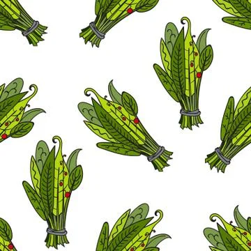 Pattern with aromatic herb Stock Illustration