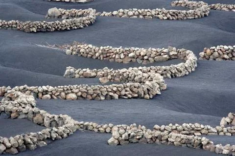 Pattern art brown chain circle contrast curve Stock Photos