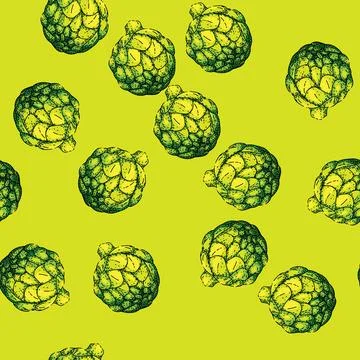Pattern artichoke fresh sketch hand drawn Stock Illustration