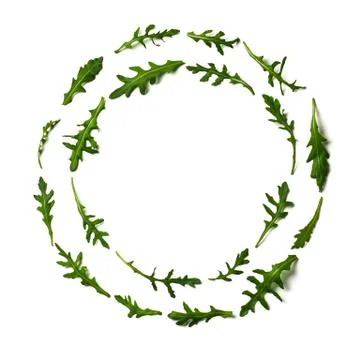 Pattern from arugula in round frame isolated Stock Photos