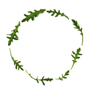 Pattern from arugula in round frame isolated Stock Photos