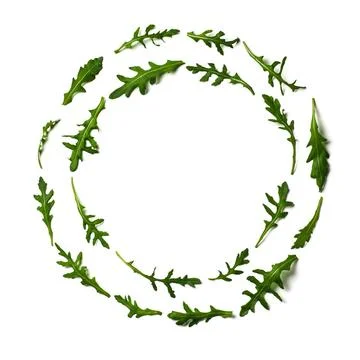 Pattern from arugula in round frame isolated Pattern from arugula in round... Stock Photos