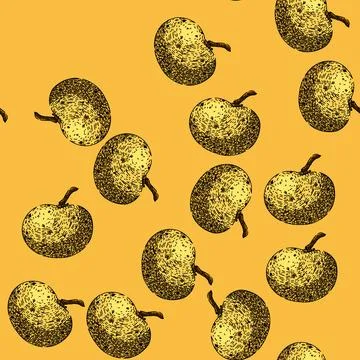 Pattern asian longan fruit sketch hand drawn Stock Illustration