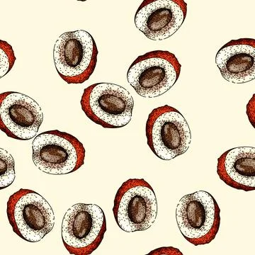 Pattern asian lychees sketch hand drawn Stock Illustration
