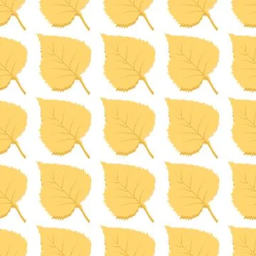 A pattern of autumn botanical elements leaves 스톡 일러스트