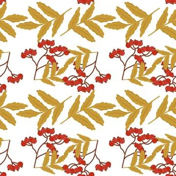 A pattern of autumn botanical elements leaves Stock Illustration