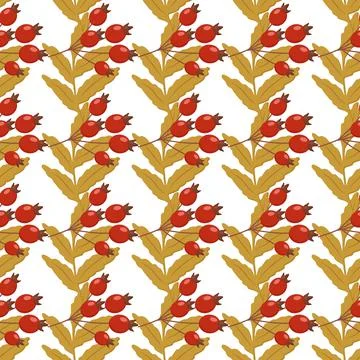 A pattern of autumn botanical elements leaves Stock Illustration