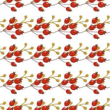 A pattern of autumn botanical elements leaves 스톡 일러스트