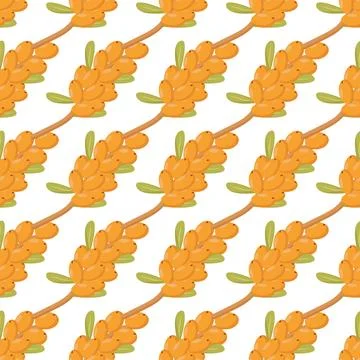 Pattern of autumn botanical elements sea buckthorn Stock Illustration