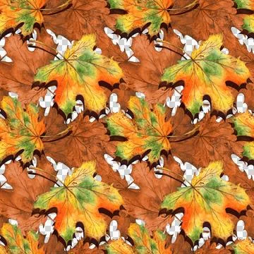 Pattern of autumn brown maple leaves in watercolor 스톡 일러스트