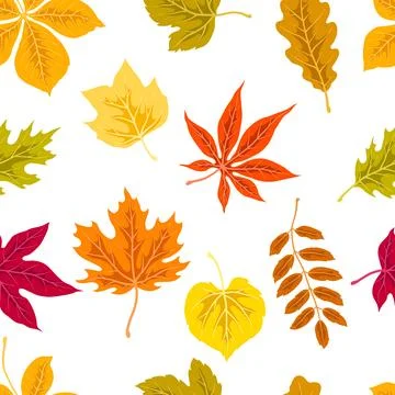 Pattern with autumn leaves. Background with various foliage. Stock Illustration