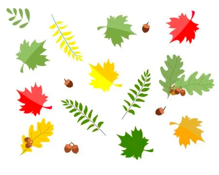 Pattern with autumn leaves on a white background. Vector illustration. Illustrazione stock
