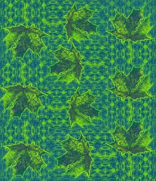 Pattern of autumn maple tree leaves Stock Photos