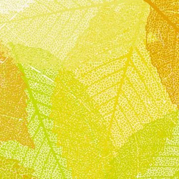 Pattern of autumn maples leaves. EPS 8 イラスト素材