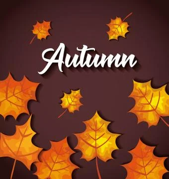 Pattern autumn with set leafs Stock Illustration